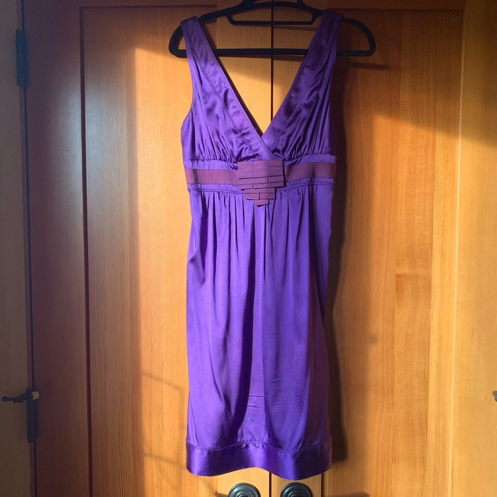 Purple Silk Dress